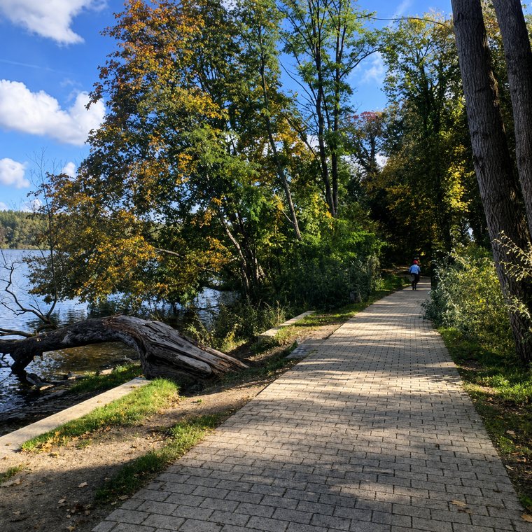 Uferweg am Jungfernsee